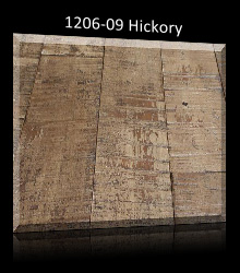 1206-09_hickory_button