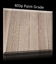 403p_paint_grade_button